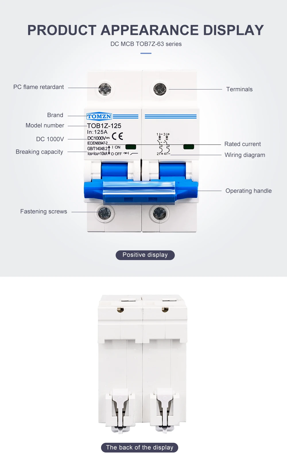 TOMZN 2P DC 1000V MCB 125A 100A 80A Circuit Breaker for PV System C Curve Battery Main Switch