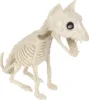 White-Cat
