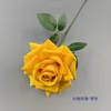 Grande rose jaune