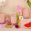 Bergamot