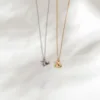 Little Fish