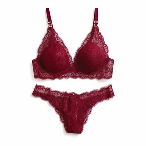 Top Lace Bra with Breathable Soft Mesh Adjustable Slide Buckle Sexy Underwear Women Lingerie for Home Chic Lace Bra Wholesale