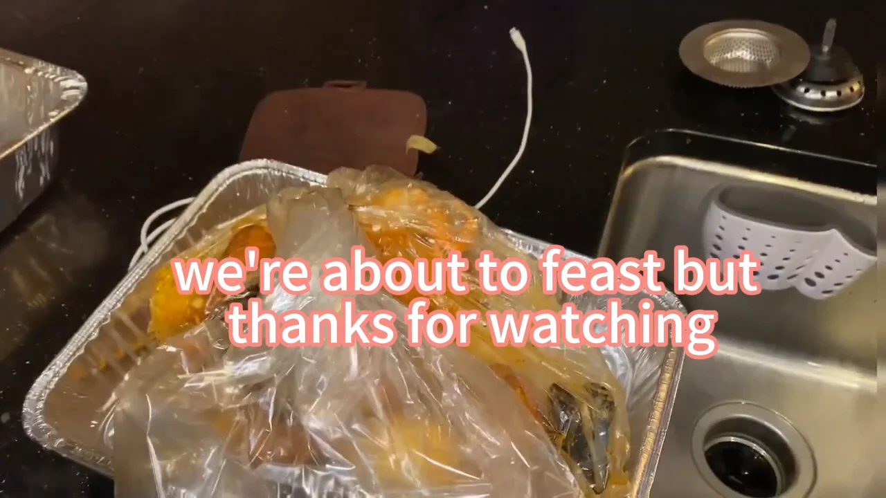 Electric Roaster Crock Pot Bag Liners Heating Roast Oven Roasting Cooking Turkey Boiled Eggs