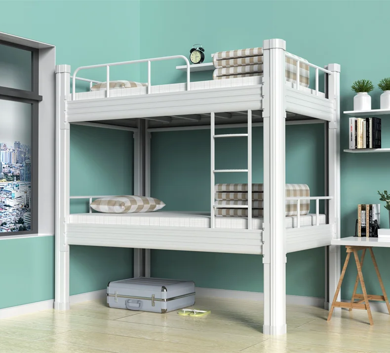 bunk bed adult