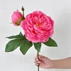 Rose garance