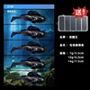 14g Black Body with Gold Spots [Pack of 5] Includes Bait Box
