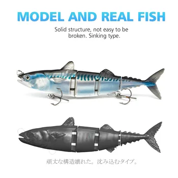 CHEERY New Design Two-Stage ABS Insect Bait Freshwater & Saltwater Floating Hard Bait for Bass Sea Bass Perch Trout & Carp – Hard Lure – view 5