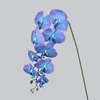 3/PU Nueve Phalaenopsis/azul violeta