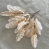 แชมเปญ