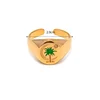 anillo B