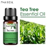 Árbol de SY5522-13Tea