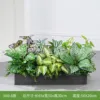 hc-X60-8 is suitable for 60cm flower boxes
