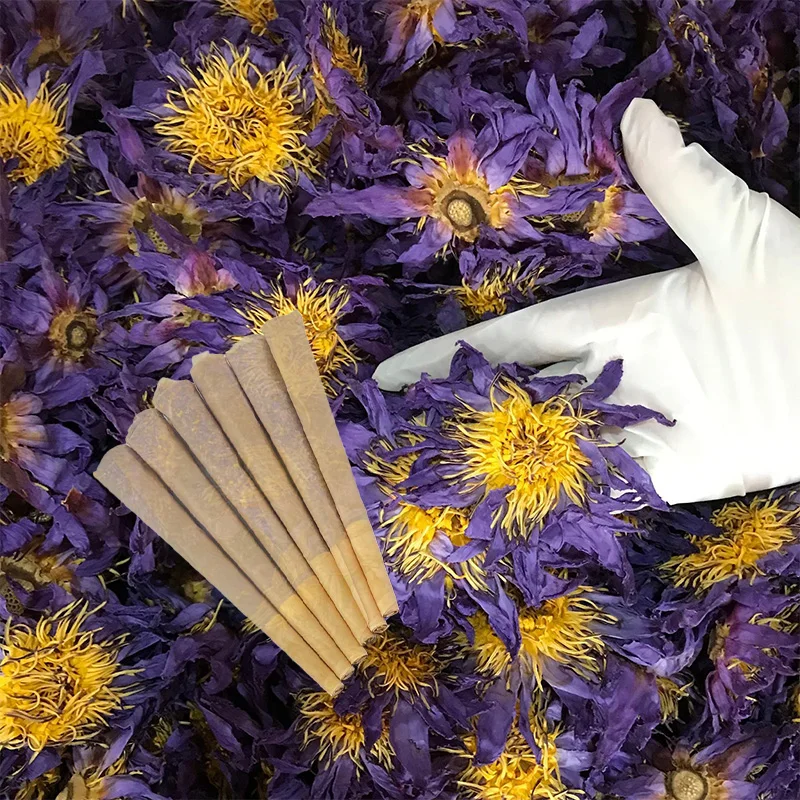 blue lotus cigarettes Clqq Factory Price Wholesale Healthy Cigarettes Calm Blue Lotus Flower  Dried Herbal Nymphaea Caerulea