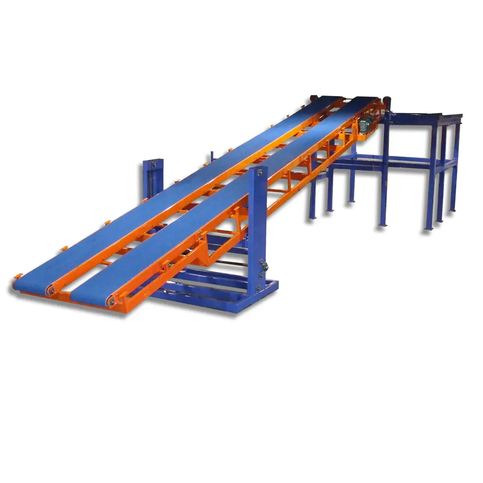elevating conveyor