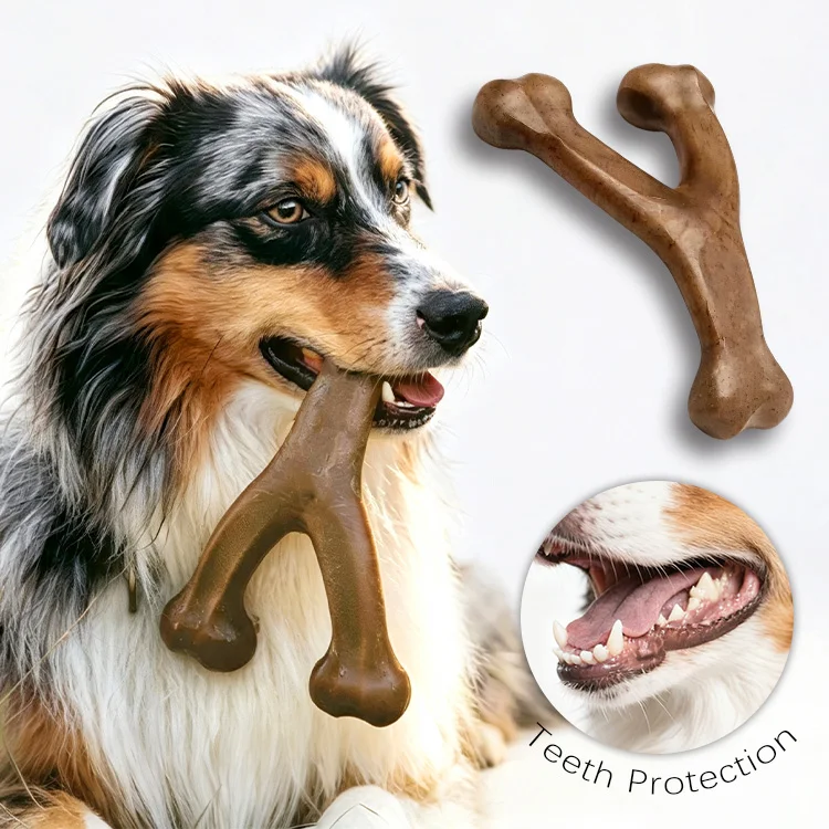 Hot Sale Y-shape Wishbone Durable Dog Chew Toy Nylon Bacon Beed Flavor Pet Aggressive Chewers
