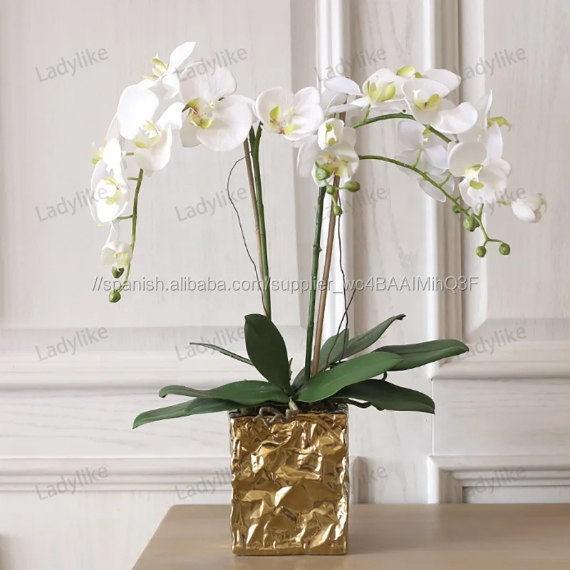 Toque Real Phalaenopsi En Florero De Tailandia De Látex Artificial  Cymbidium Mariposa De Seda Flor De Acuerdo Con La Orquídea Olla - Buy Flor  De La Orquídea Mariposa Orquídea Phalaenopsis Orquídeas Frascos