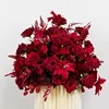 50cm rojo 2