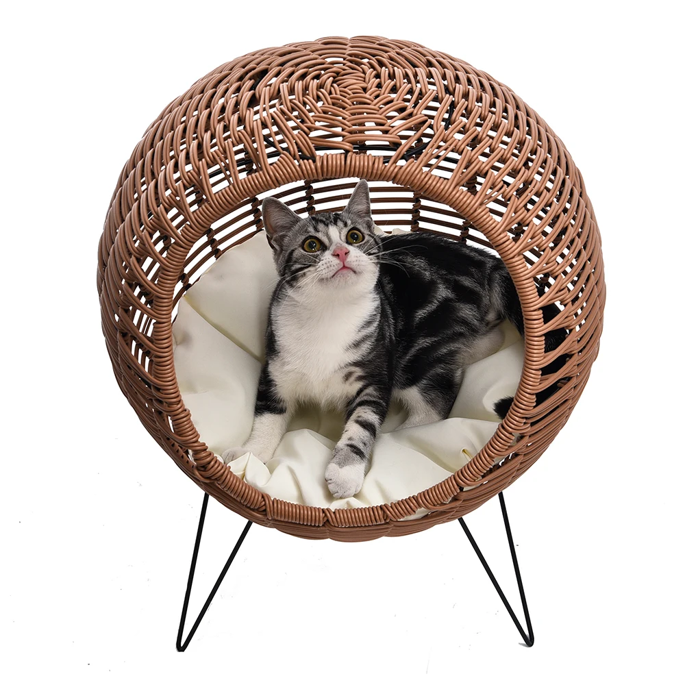 Artical Rattan Kitty Elevated Furniture Chair Elegance Modern Raised ...