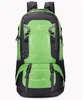 60l green