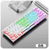 Teclado transparente Silver Fox K30 (blanco)