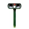 Vert