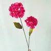Mei yi two-headed lollipop hydrangea rose red