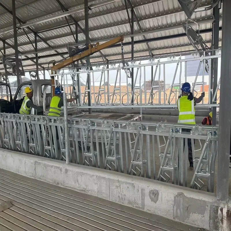 4 Positions 3 Meters Automatic Steel Cow Calf Headlock Dairy Cattle Breeding Equipment Ox Frame Accessories New Livestock Panel