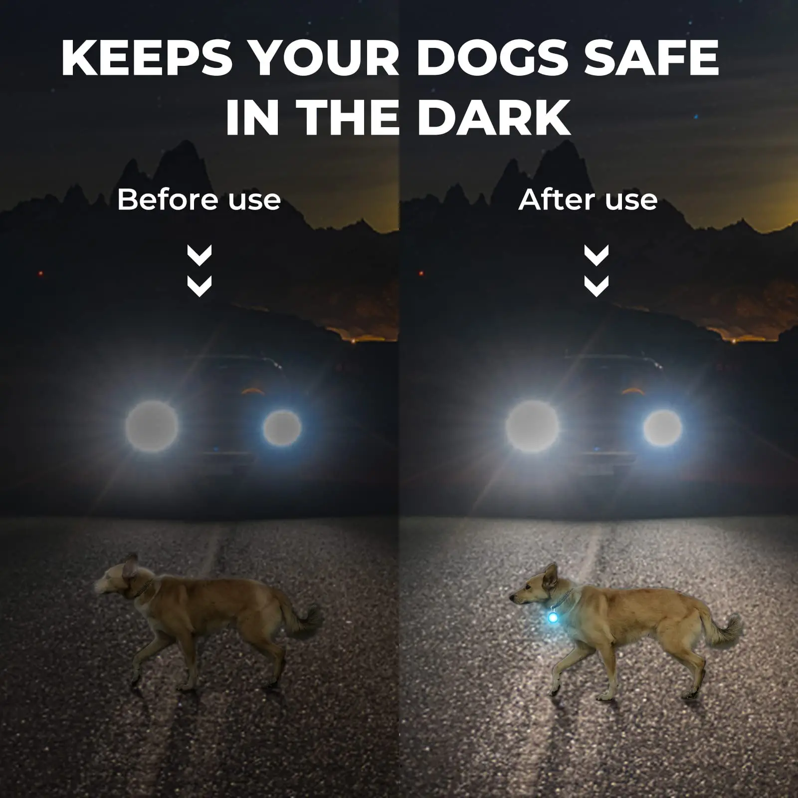 Led Dog Collar Safety Light Clipon Led Dog Tag Light Buy Dog Lights