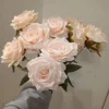 แชมเปญ