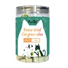 Cat Grass Cubes