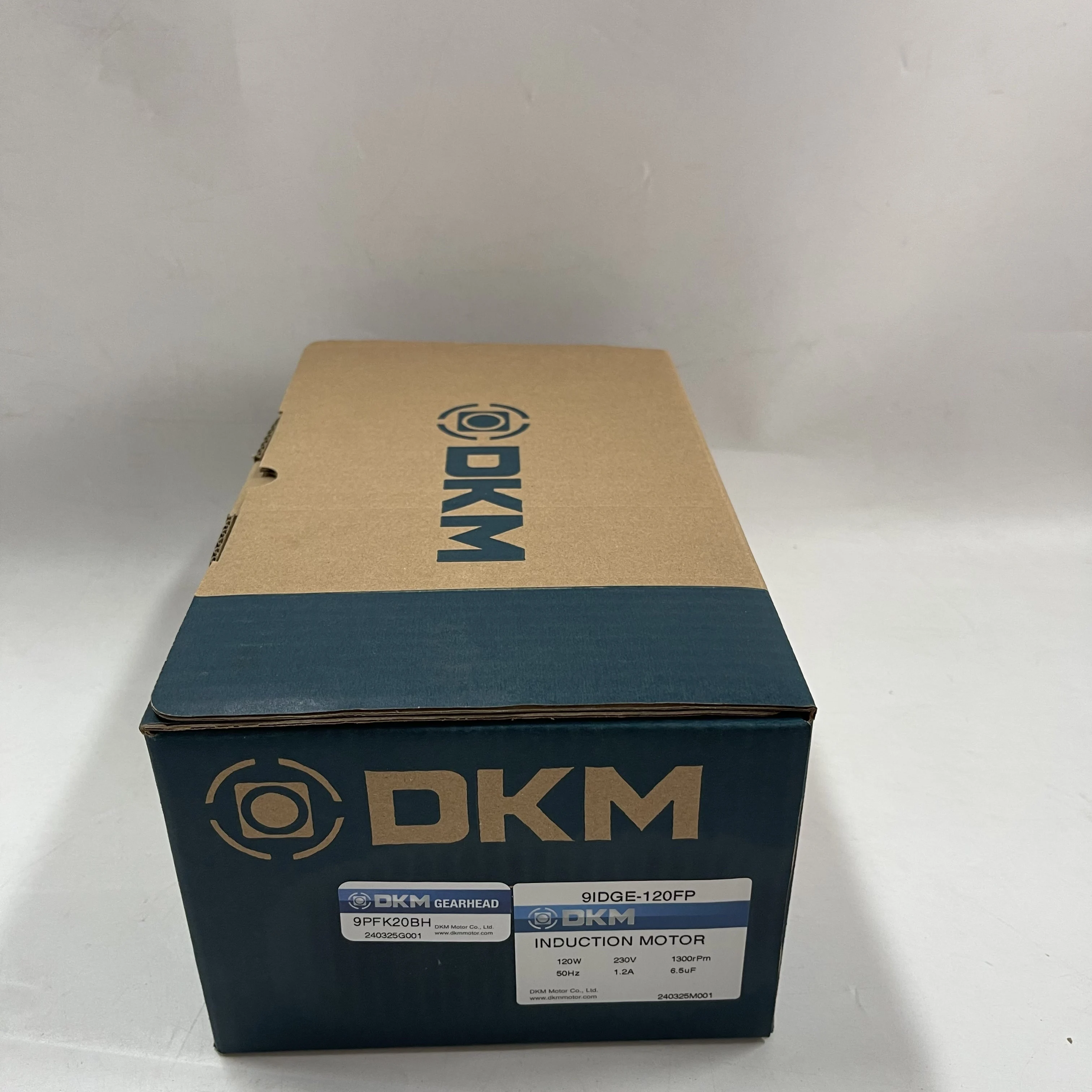 DKM Induction Motor with Gearhead 9IDGE-120FP DKM Induction Motor with Gearhead 9IDGE-120FP