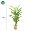 Palm Tree - 170cm