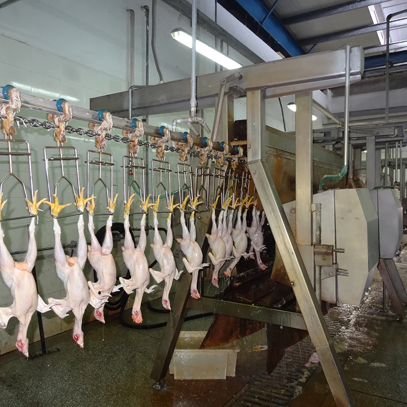 Full Automatic 500BPH -1000BPH Mobile Container Chicken Poultry Slaughter House for Small Scale Abattoir