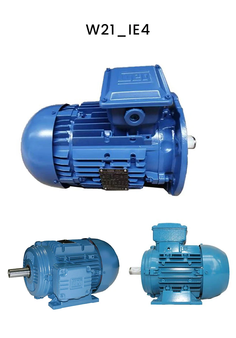 Weg 3 Phase Electrical Ac Motor W21 Series 200kw Cast Iron Asynchronous