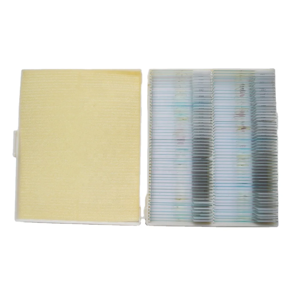 100pcs Human Pathology Prepared Slides for Medical Students Histology Slide