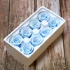 Blu ZL-YSH-08-5
