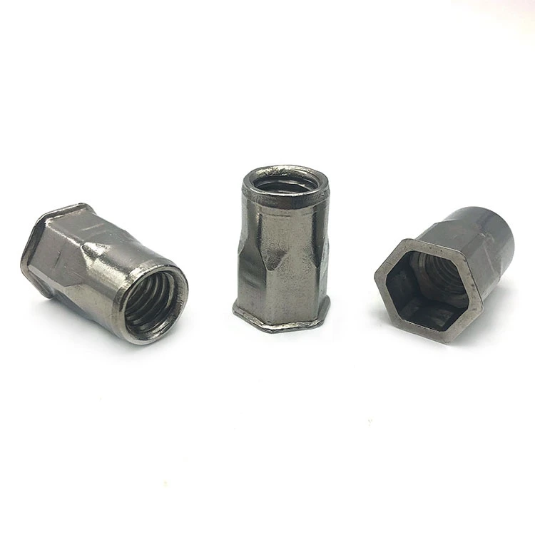 China Factory Oem Odm Fastener Customized Flat Head Hexagon Round Hex Through hole Brass Stainless Steel Blind Rivet Nut