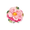 9inch paper plate*8pcs