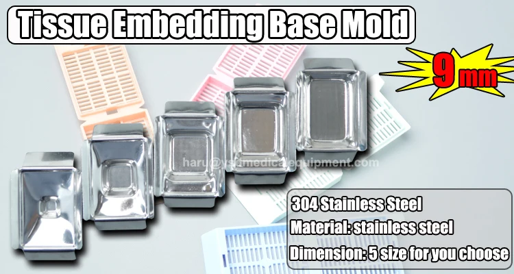 304 stainless steel embedding base mold