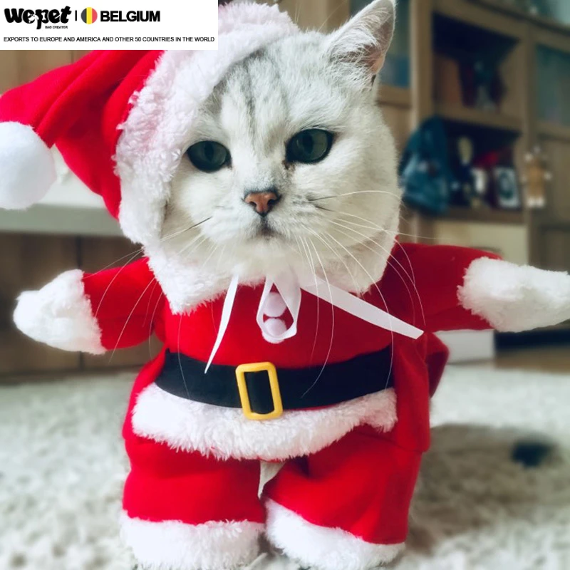 Costume de chat drôle et mignon de père Noël Tissu de style