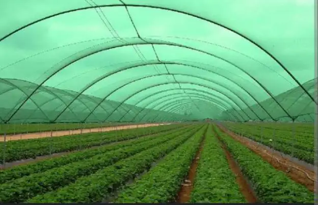 Dark Green Greenhouse Shading Net 35% 50% 75% 90% Uv-treated Hdpe Shade Net for Agriculture Hcc91662fed44433e8b41dd0f488ec516b