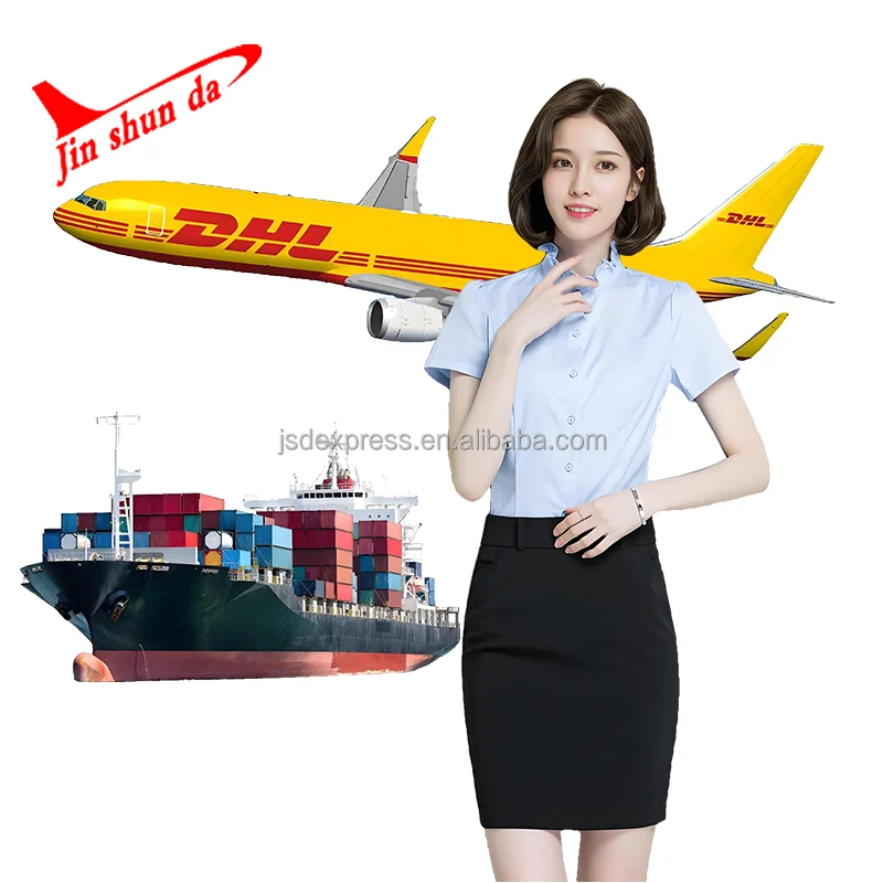 Logistic Service Shipping Agent From China to India Sea Shipping Agent