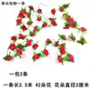 Rose-red Peony