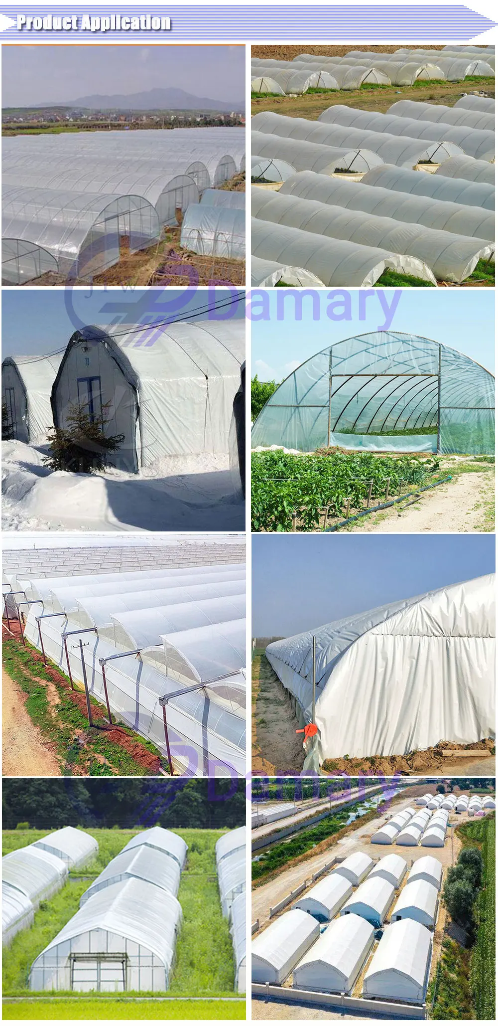 Eco-Friendly & Non-Polluting 200 Micron Anti-UV Covering Film Greenhouse Plastic of Green Color for Gardens factory