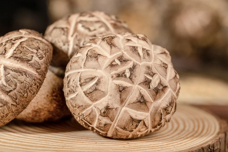Прямые продажи с завода, сушеные органические грибы Shiitake