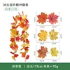 Otoño No.15