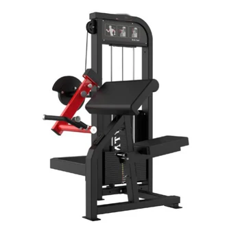 2024 Health Gym Equipment Fitness Machine Pin Loaded Biceps Curl factory directly selling