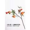 Small branch with four fruits and flowers, pomegranate, orange-yellow