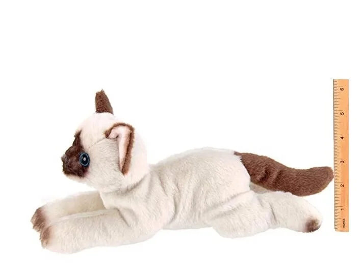 【SOFT THUMBNAIL】 Poka, Siamese SOFT THUMBNAIL Poka, Siamese | International Store