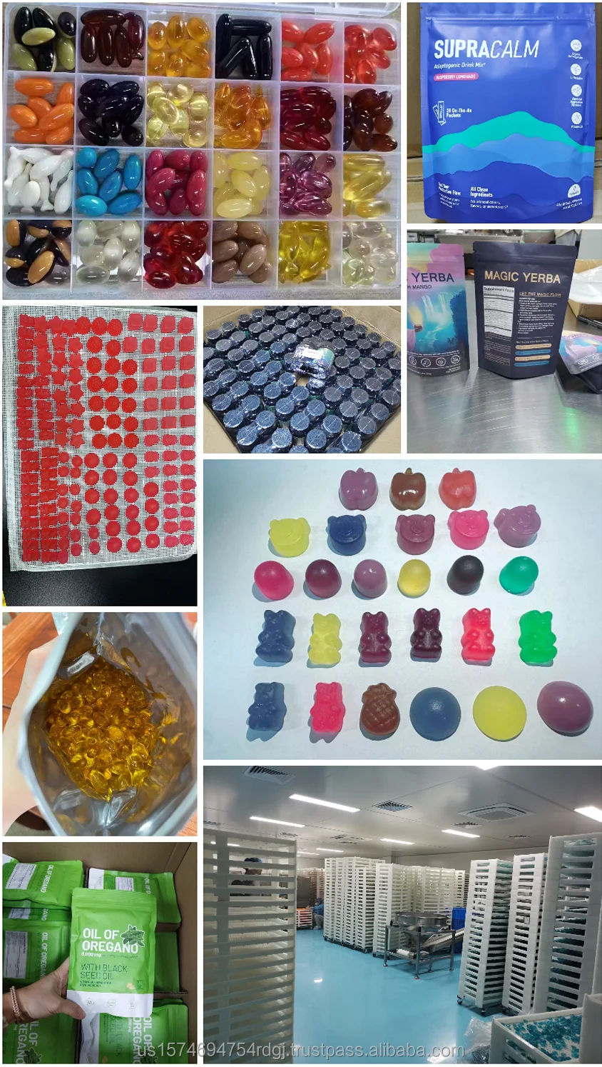 OEM Antioxidant Supplements Natural Blueberry Flavor Vitamin E Gummies Eye Health and Immune Function Support for Adults